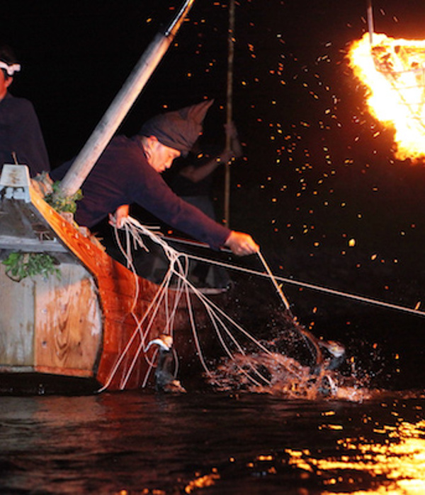 Fishing with cormorants in Nagara River - Qlip - Japan Travel・Tour ...