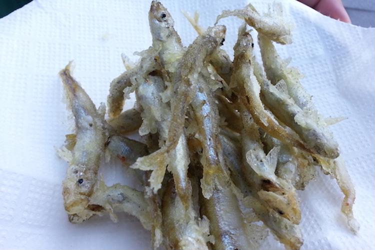 Fishing Experience with no equipment required in Shikabe